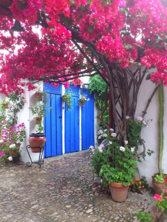 Los patios de Cordoba